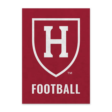6635-Harvard Football Felt Pennant_media.jpg