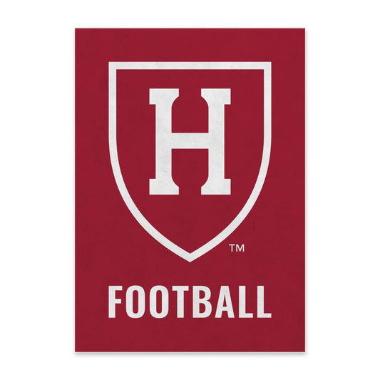 6635-Harvard Football Felt Pennant_media.jpg