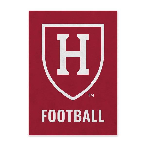 50s ハーバード大学 カレッジペナント フェルト 美品 HARVARD Harvard Football Felt Pennant – The COOP