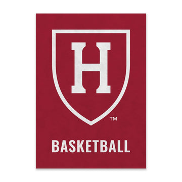 6636-Harvard Basketball Felt Pennant_media.jpg