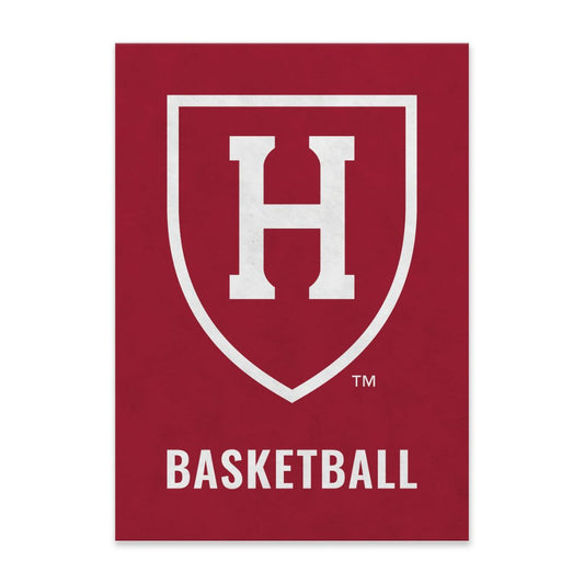 6636-Harvard Basketball Felt Pennant_media.jpg