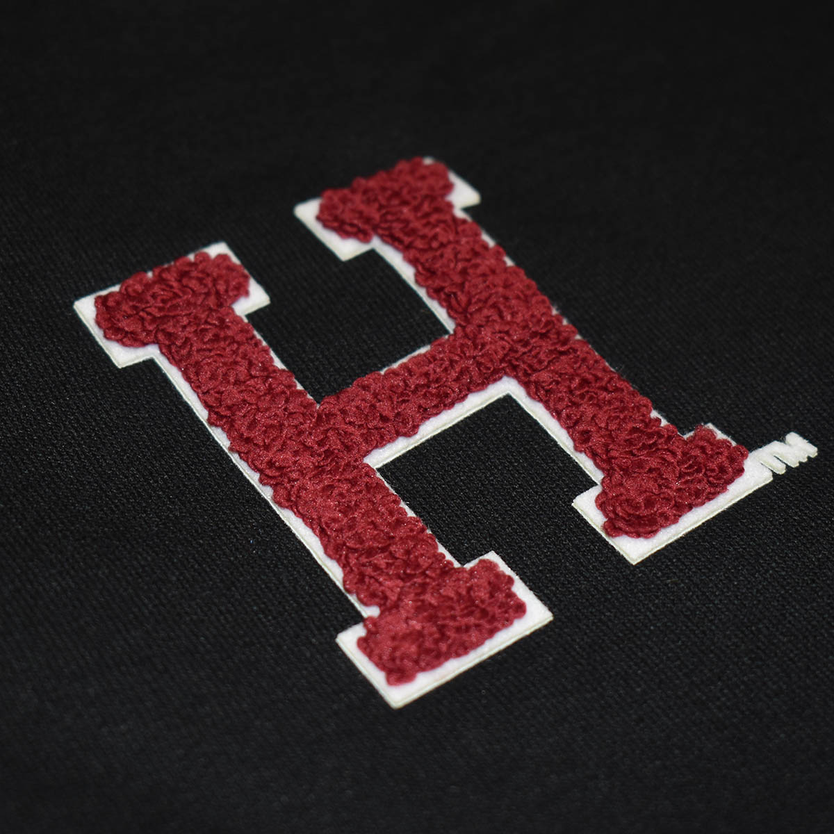 Harvard Champion Block H Chenille Logo Full Zip Hood – The COOP