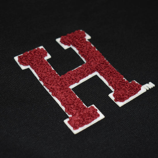 6673-Harvard Champion Block H Chenille Logo Full Zip Hood_media_02.jpg