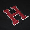 Harvard Champion Block H Chenille Logo 1/4 Zip Pullover