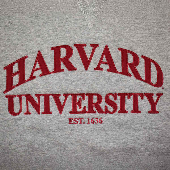 6785-Harvard Camp David Everyday Felt Applique Hood_media_02.jpg