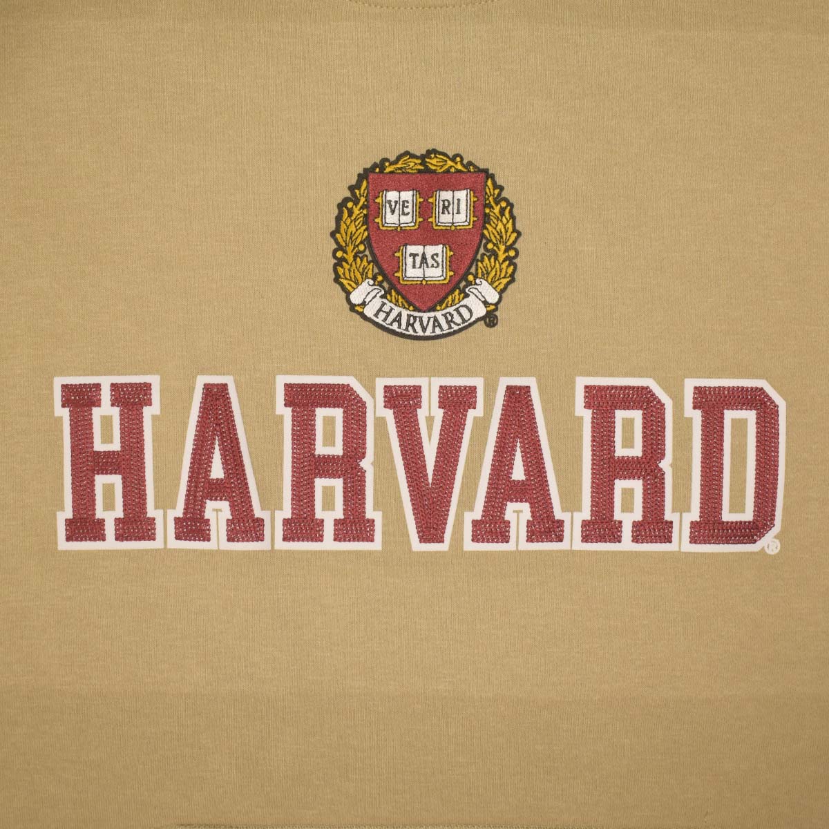 6789-Harvard Chain Stitch Embroidered Shield Hood_media_02.jpg