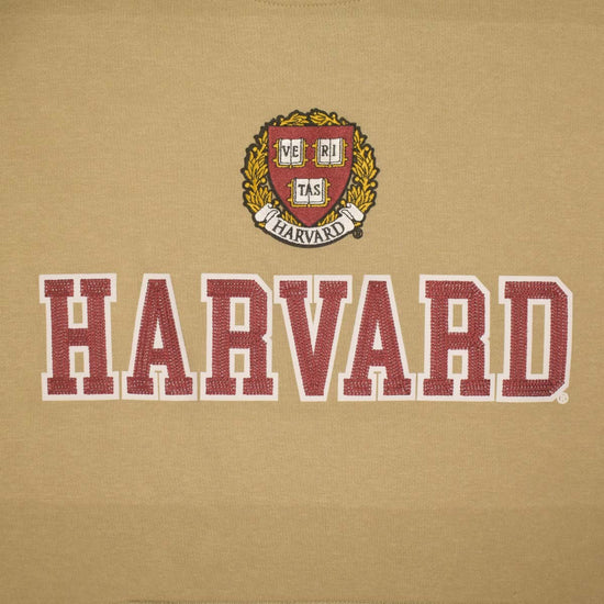 6790-Harvard Chain Stitch Embroidered Shield Crew_media_02.jpg