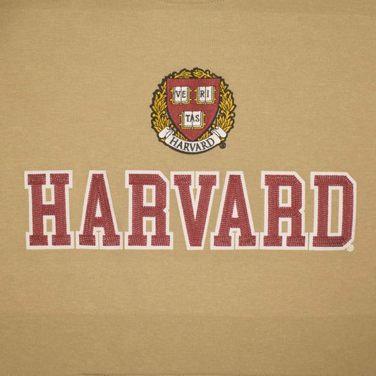 6790-Harvard Chain Stitch Embroidered Shield Crew_media_02.jpg