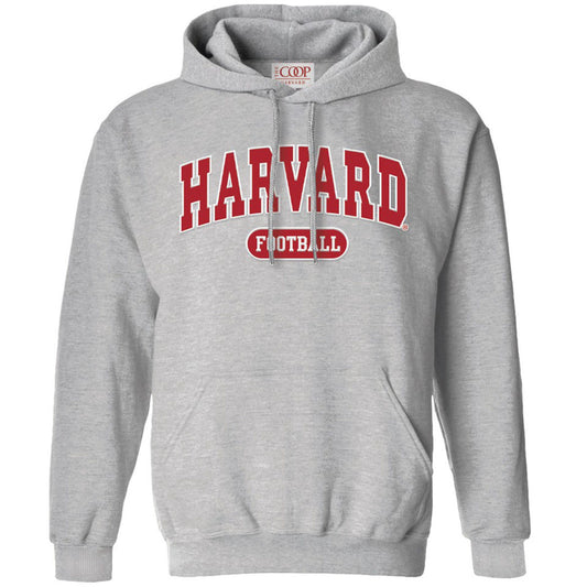 6859-Harvard Football Vintage Applique Hooded Sweatshirt_media.jpg