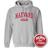6861-Harvard Basketball Vintage Applique Hooded Sweatshirt_media_01.jpg