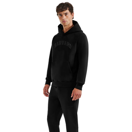 7044-Harvard Rudsak Briar Unisex Hoodie with Rubber Print Logo_02.jpg