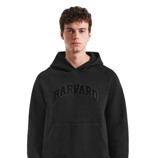 7048-Harvard Rudsak Briar Unisex Hoodie with Embroidered Logo_02.jpg