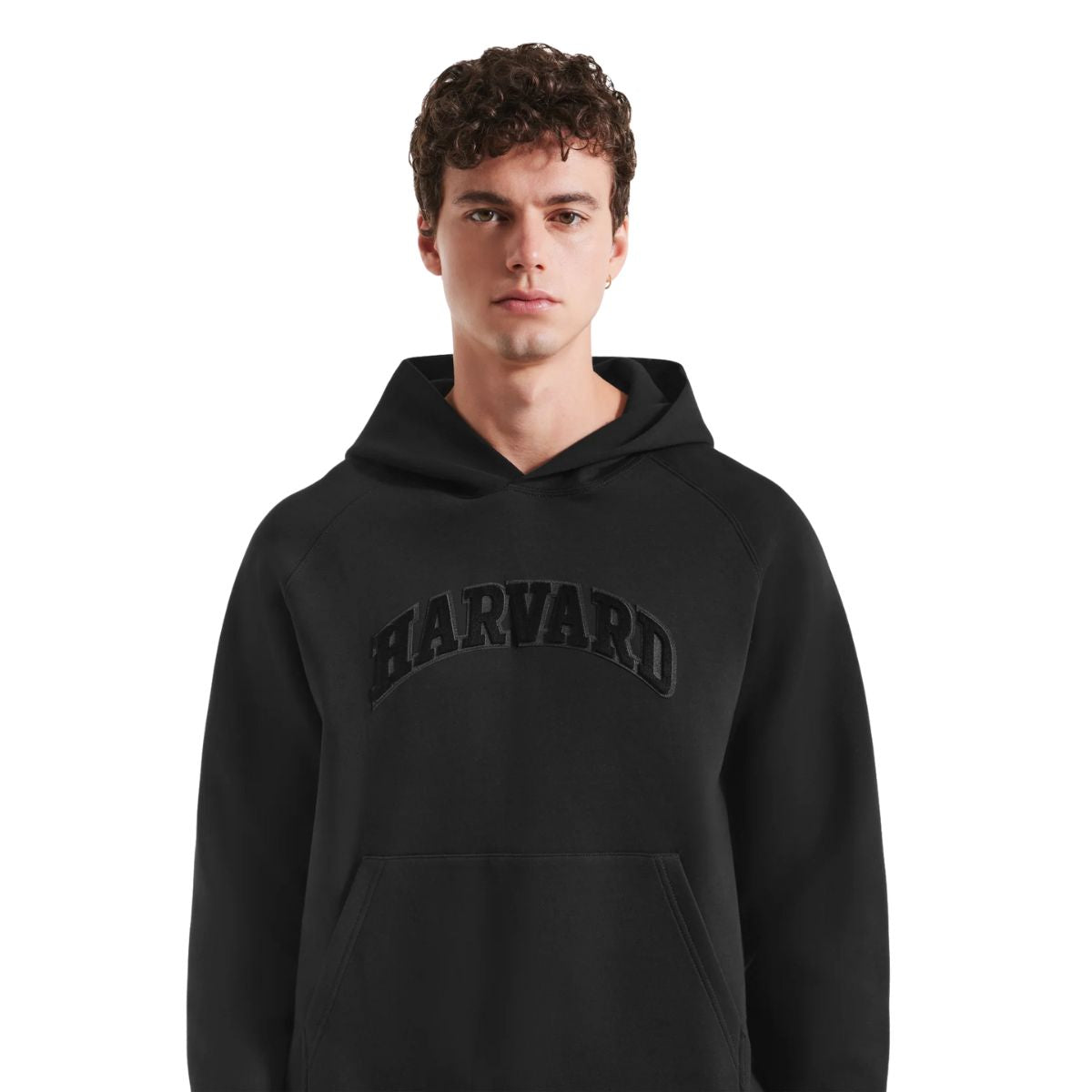 7048-Harvard Rudsak Briar Unisex Hoodie with Embroidered Logo_02.jpg