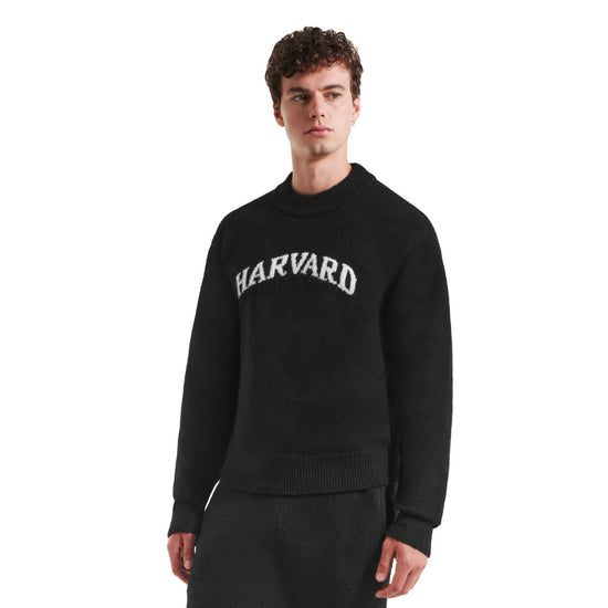 7049-Harvard Rudsak Neve HV Unisex Crewneck Sweater with Jacquard Logo_03.jpg