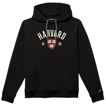 7069-Harvard League 1991 Felt Embroidered Applique Hooded Sweatshirt_media.jpg