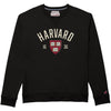 7070-Harvard League 1991 Felt Embroidered Applique Crewneck Sweatshirt-media.jpg