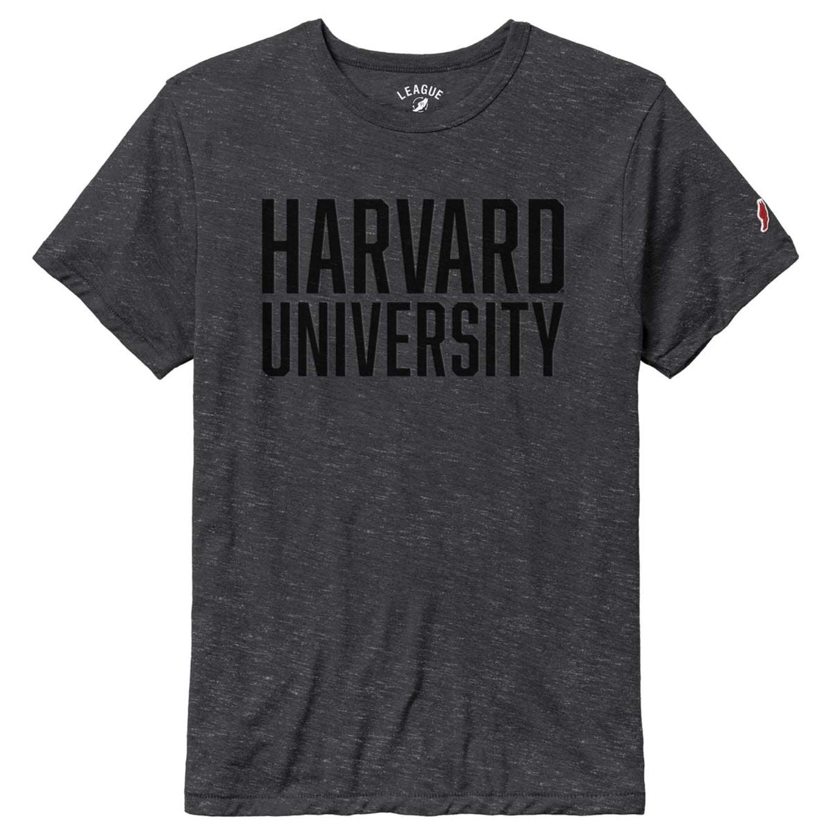 7123-Harvard League Victory Falls Tonal Design Tee_black.jpg