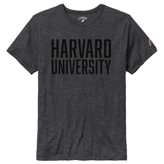 7123-Harvard League Victory Falls Tonal Design Tee_black.jpg