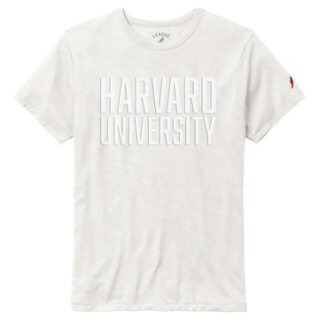 7123-Harvard League Victory Falls Tonal Design Tee_ivory.jpg