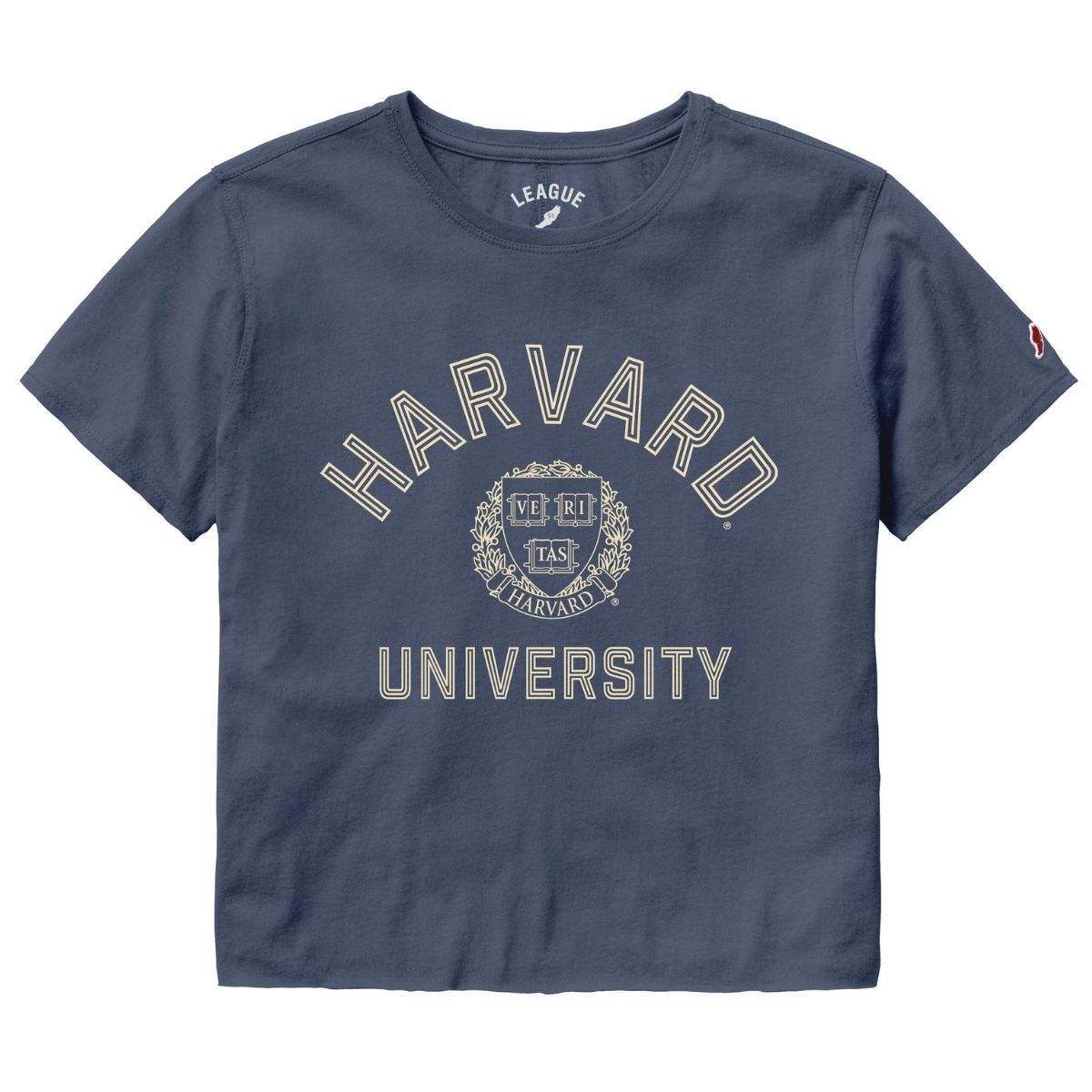 7340-Harvard League Clothesline Denim Tee_media.jpg