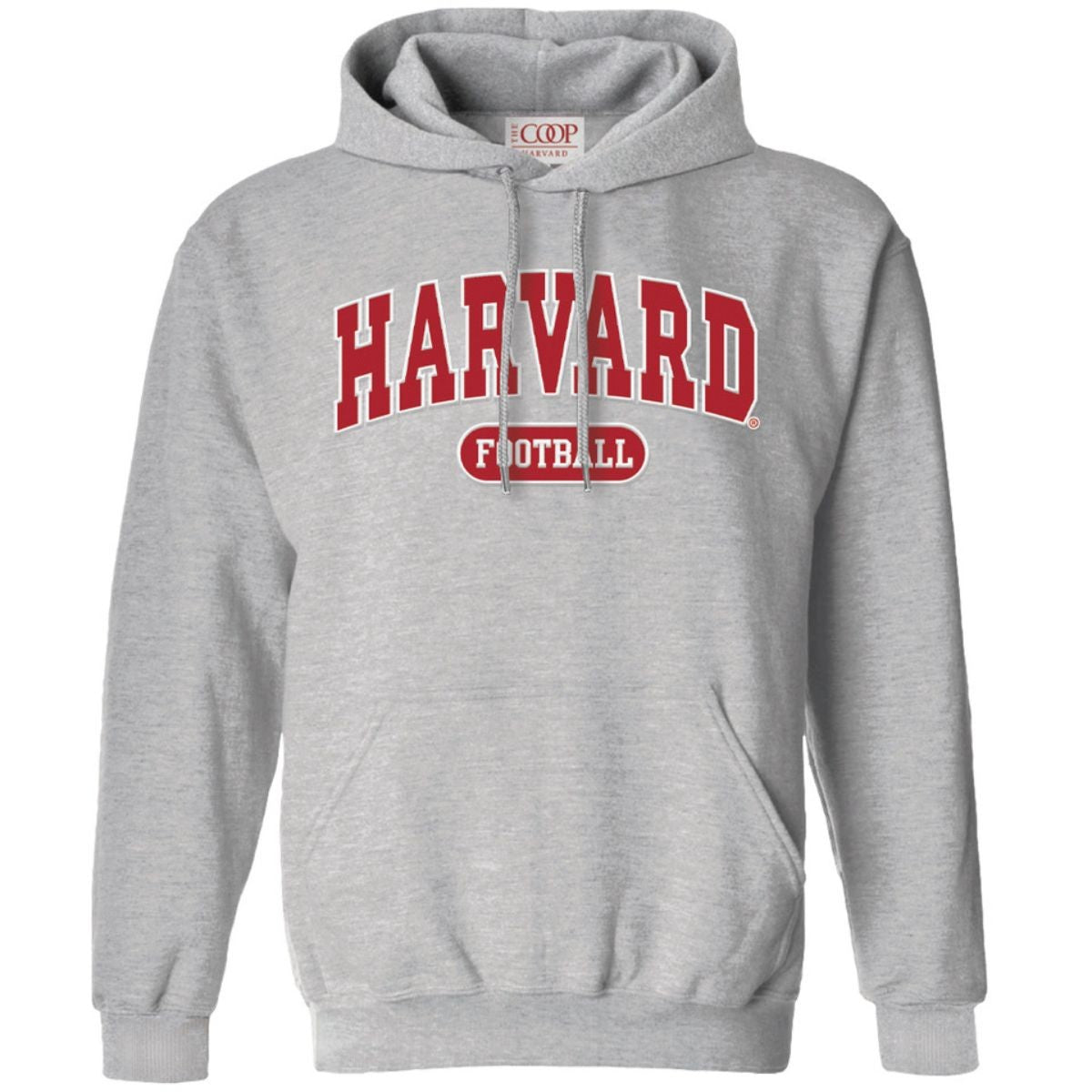 7371-Harvard Youth Football Vintage Applique Hooded Sweatshirt_01.jpg