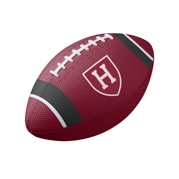 Harvard Nike Mini Football