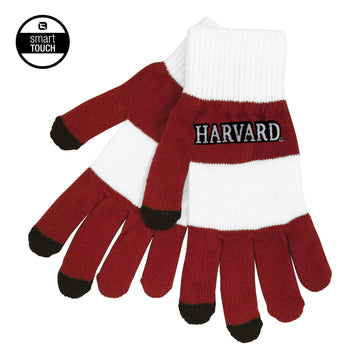 Harvard Rugby Stripe Knit Gloves