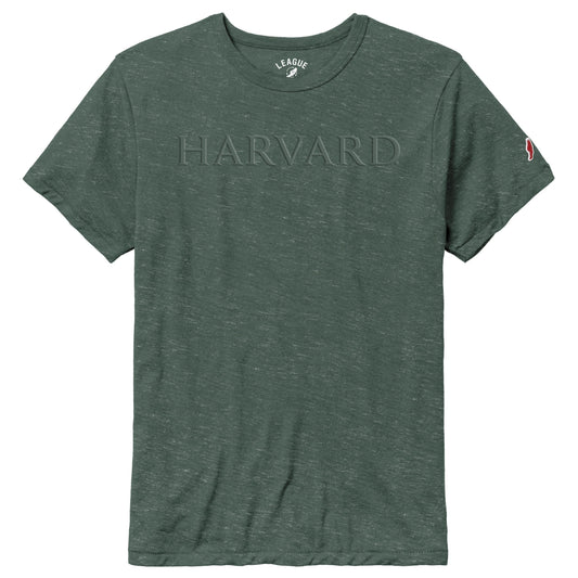Harvard League Victory Falls Vintage Tonal Design Tee