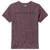 Harvard League Victory Falls Vintage Tonal Design Tee