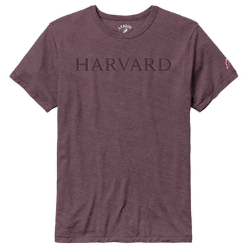 Harvard League Victory Falls Vintage Tonal Design Tee