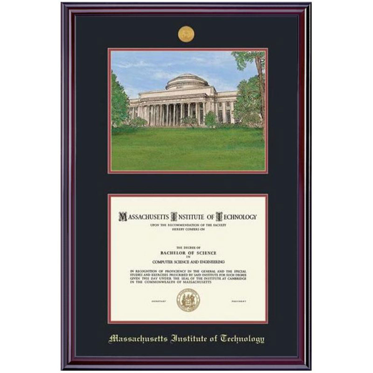 8776-MIT Medallion Diploma and Lithograph Frame_Elite.jpg