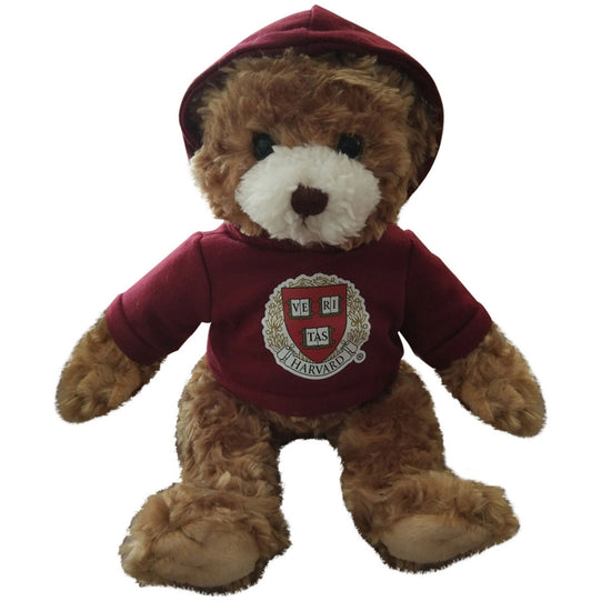 9617-Harvard Bear With Hoodie_media.jpg