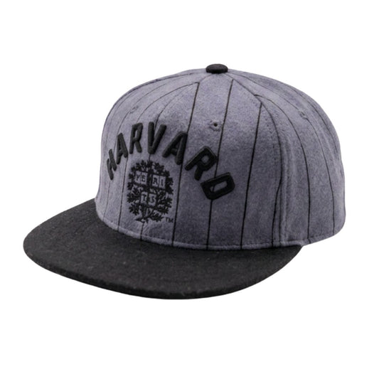 Harvard Official League Embroidered Wool Hat