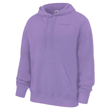 Harvard Nike Club Fleece Embroidred Hood