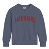 Harvard Standard Rec French Terry Applique Hampton Crewneck