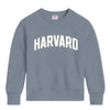 Harvard Standard Rec French Terry Applique Hampton Crewneck